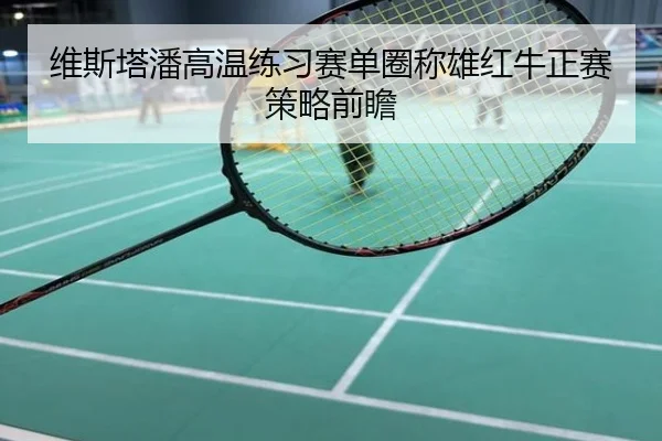 维斯塔潘高温练习赛单圈称雄红牛正赛策略前瞻